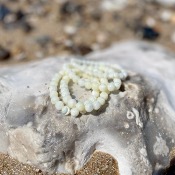 Bracelet en Nacre - perles 6 mm 